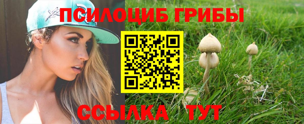 Псилоцибиновые грибы ЛСД Мончегорск