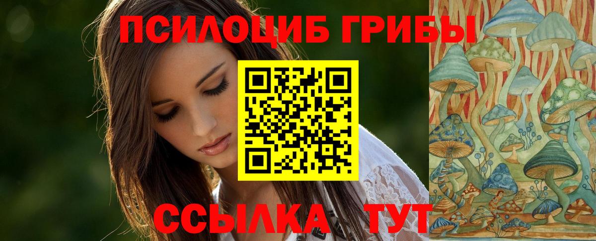 Мончегорск  Псилоцибиновые грибы Cubensis  Вход с VPN 